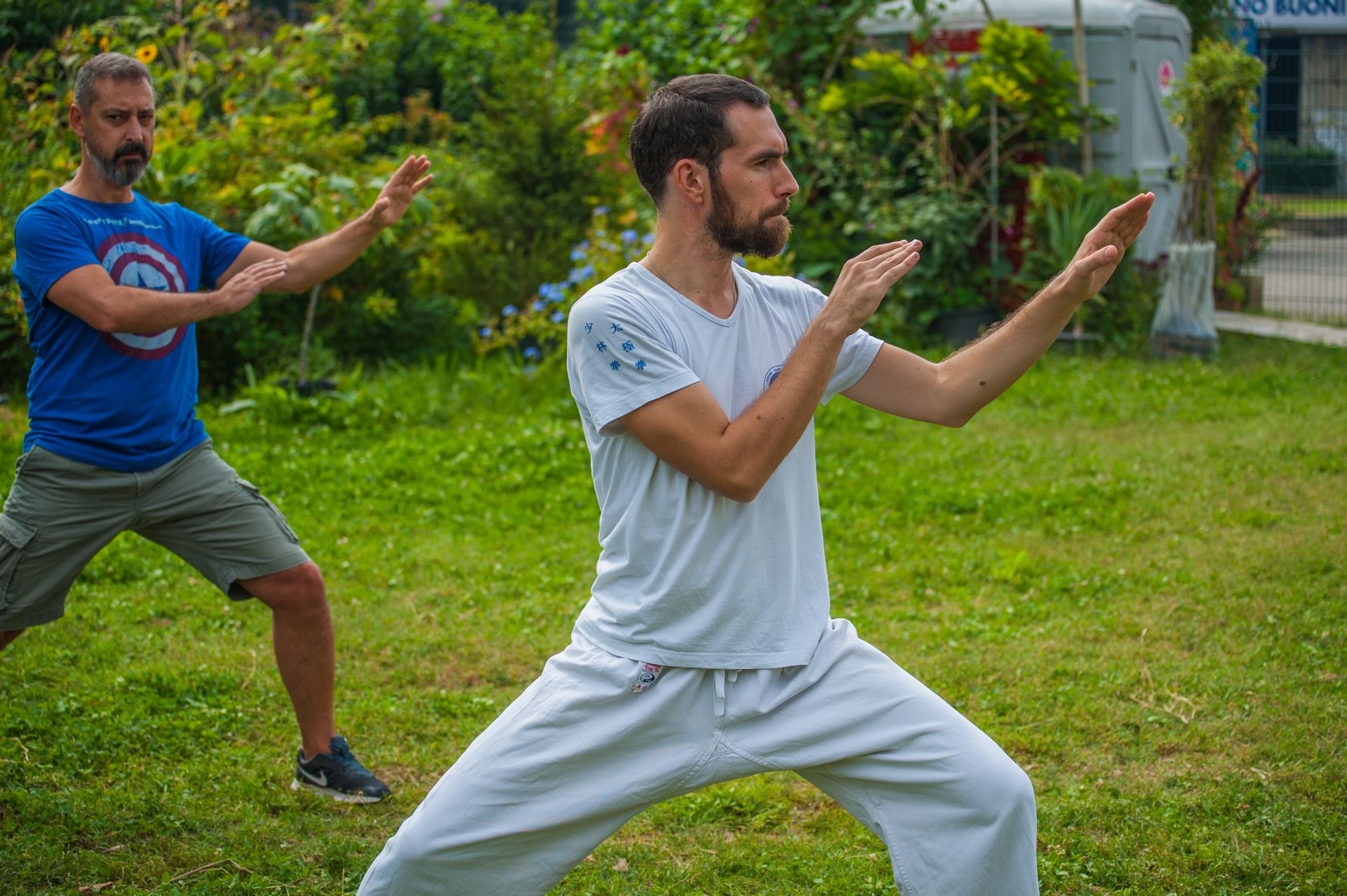 Tai Chi agli Orti di Via Padova 2017