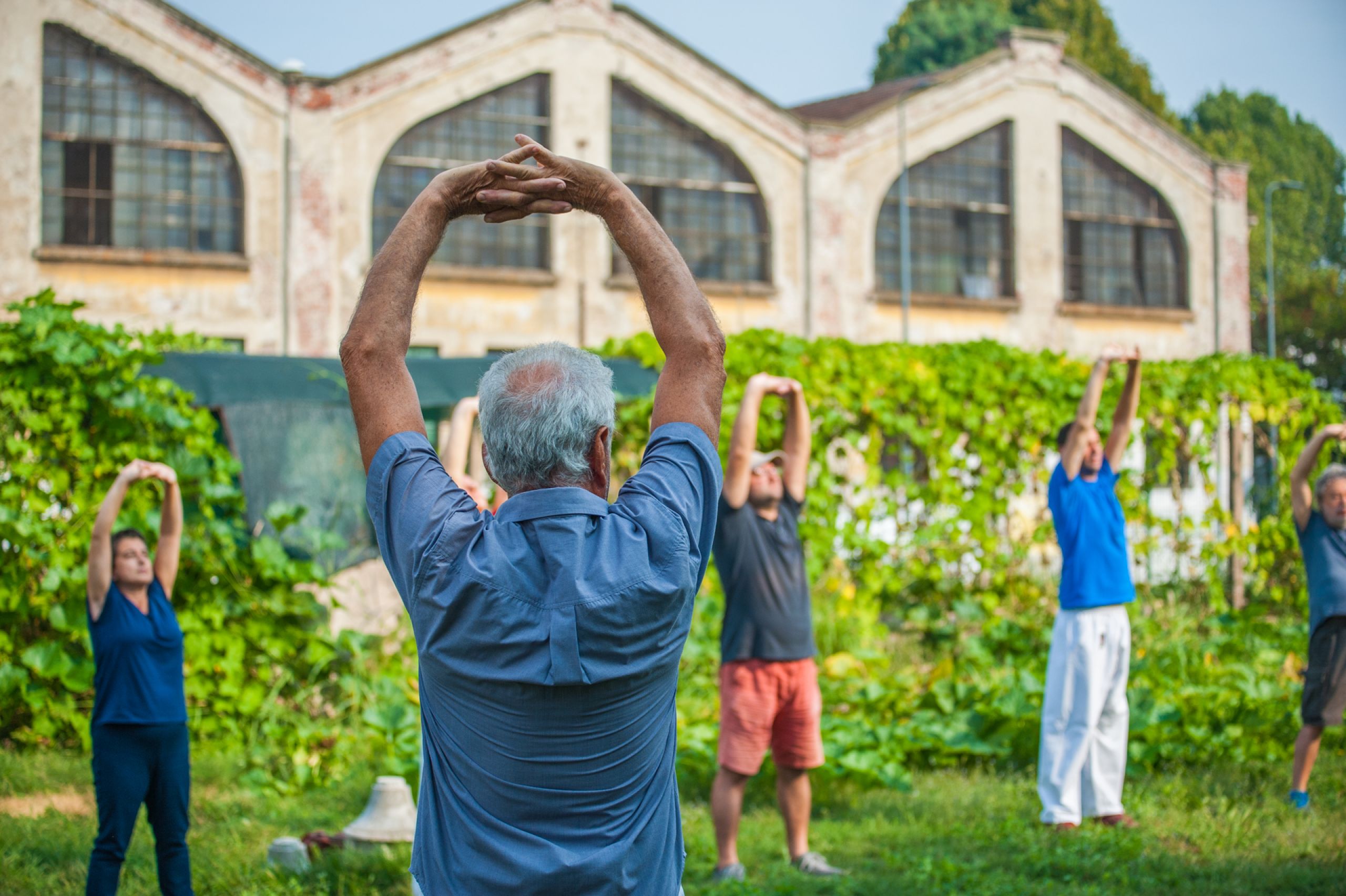 Tai Chi agli Orti di Via Padova 2017