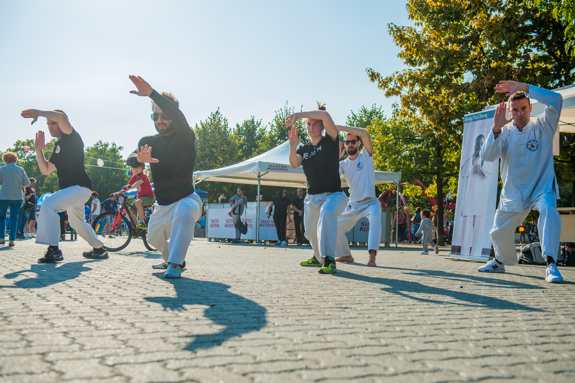 tai-chi-ch'uan